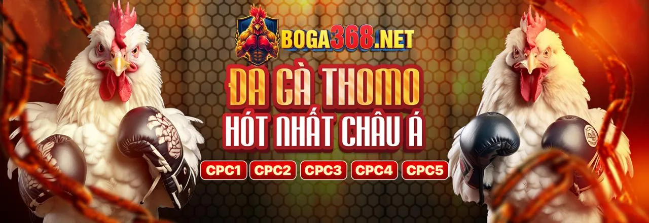 Biểu đồ chiến thuật Baccarat hiệu quả
